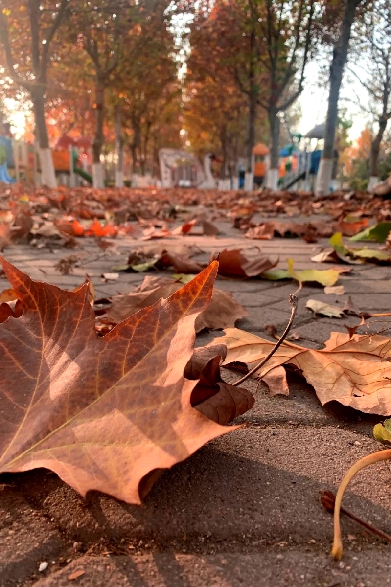 北向资金单日净流出18.04亿！加仓这些板块