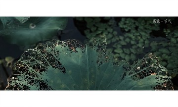 1205740