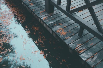 121077