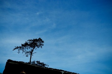 1007-福建土楼90068