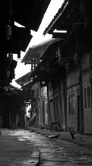_ZYQ0069.jpg