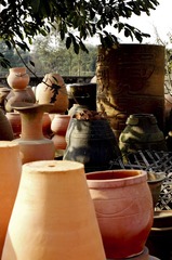 _ZYQ9829.jpg