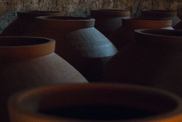_ZYQ9897.jpg