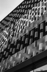 _IMG0232