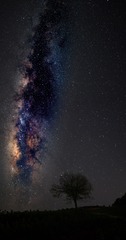 1116926