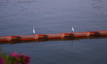 685081
