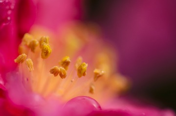 002_2664