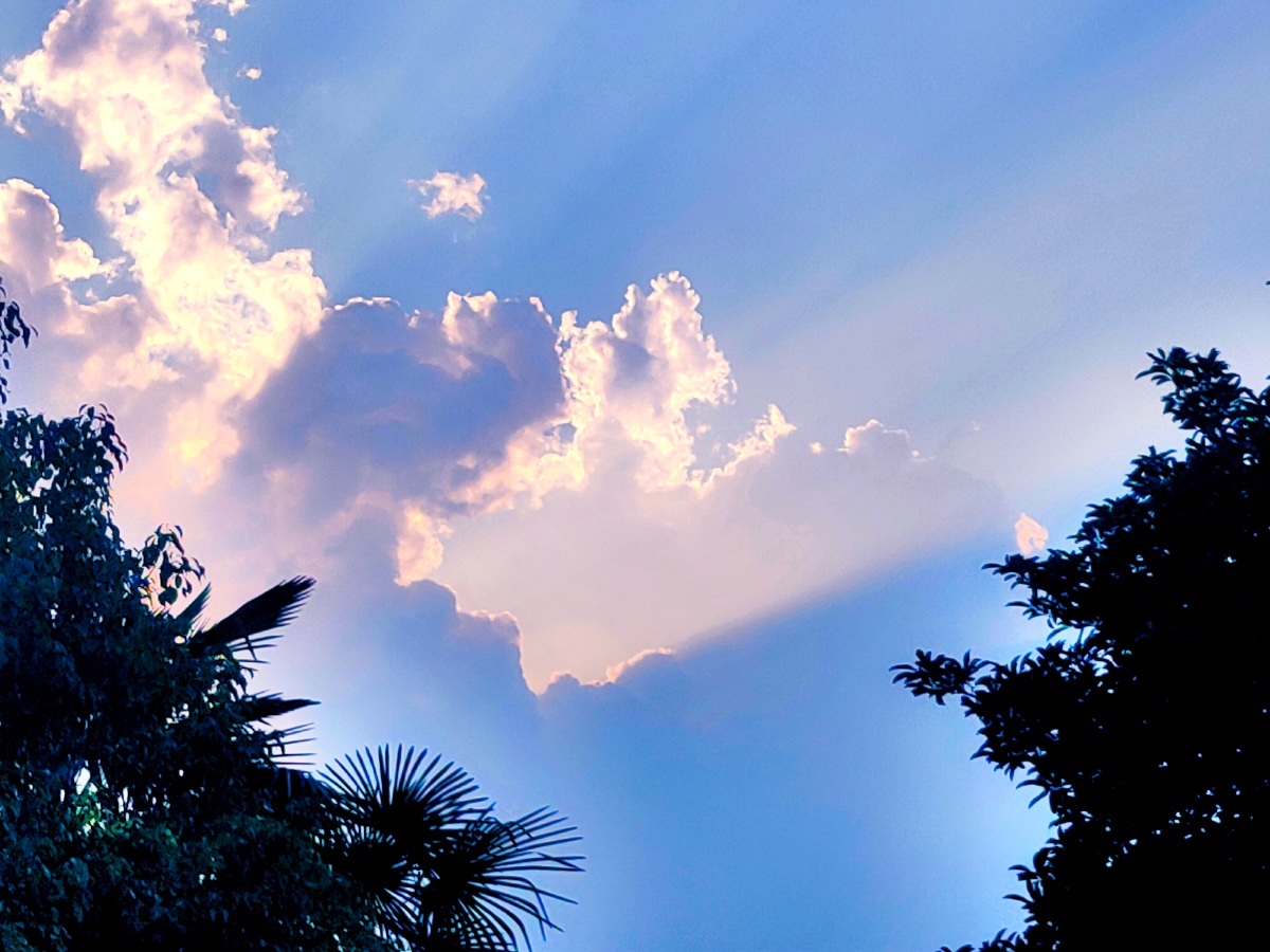 09.03-01) - 天意--声影的行者