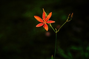 1000053719