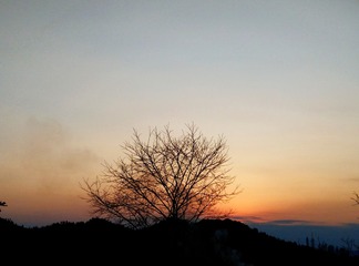 IMG_20160305_183619