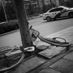 2.IMG_2386aaas