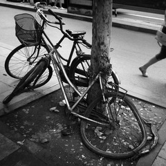 7.IMG_0439as