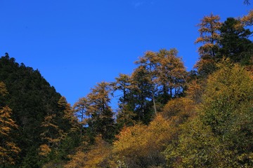 1028-IMG_3926