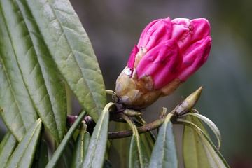 20200320-_MG_7720