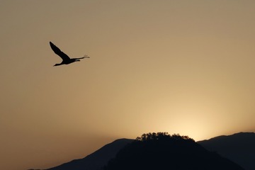 20200321-_MG_7831