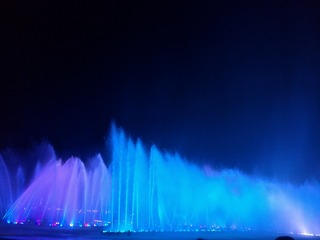 431