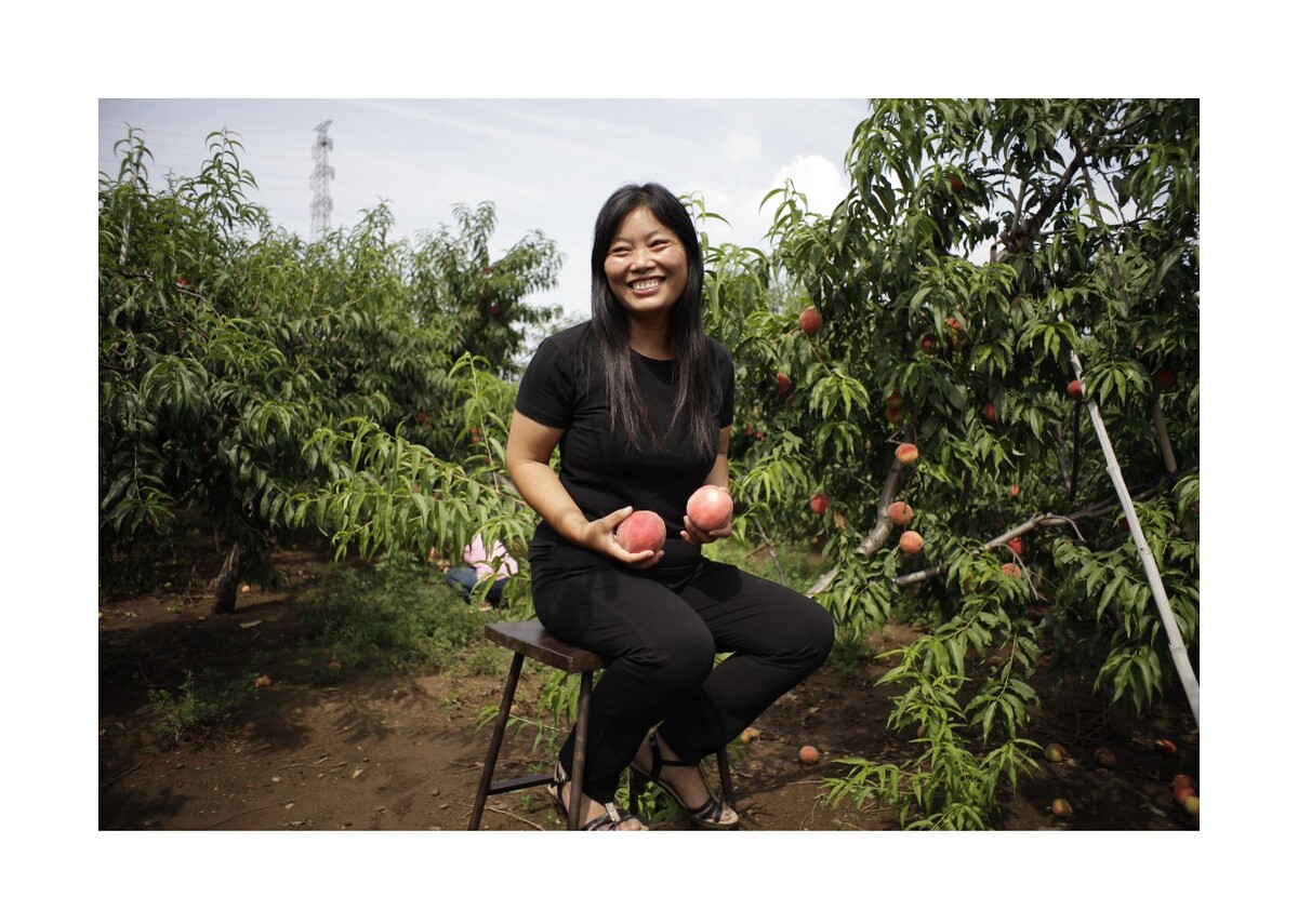 2015年8月美霞来北京看望在顺义农园里工作的父母。帮助父母干活采摘桃子，看着大大的桃子美霞很开心。<br />
