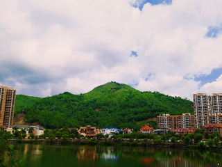 IMG_4256(1)
