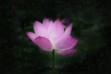 95330