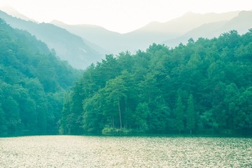 AA1_0011