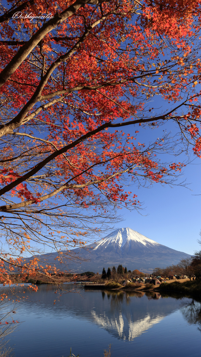 红叶富士