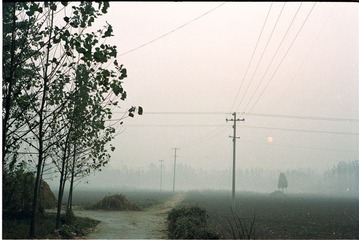 后院山村