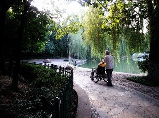 IMG_20160906_173644-01