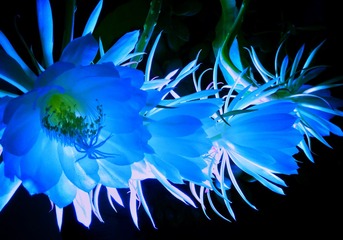 IMG_20160919_211252-01