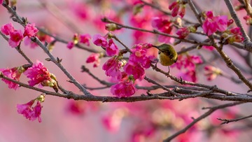 F5D7560C-250E-449B-BC34-FDFE5329C1C3/L0/001