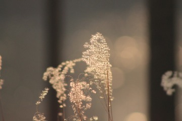 B05E4100-1A67-45E1-983E-A1C5717EACB9/L0/001