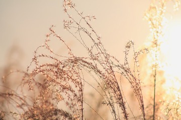 C9A19EE4-8E4B-451C-A018-F19DA7190F37/L0/001