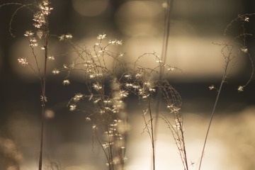 8FBAEB6F-D978-42D8-A32B-2FC59025118D/L0/001