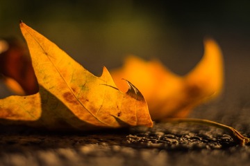 F84C0E33-8C28-4853-91F1-2424649736D3/L0/001