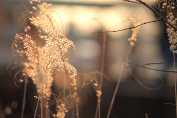 976F75BA-80B0-4580-9798-B904ACCD3AEC/L0/001