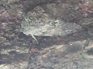 20160722_163902