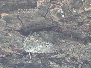 20160722_165411_1