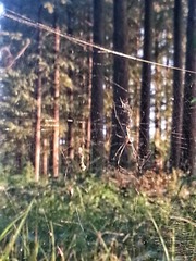 20160908_180555-01