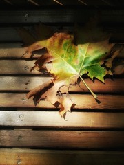 20160914_143435-01