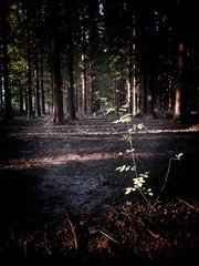 20160923_170526-01
