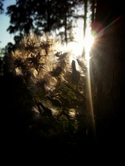 20160923_165734-01