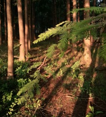20161005_074150-01