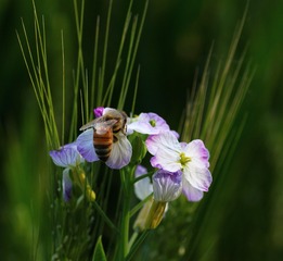 IMG_9077_conew1