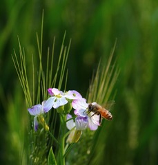 IMG_9075_conew1