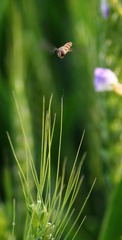 IMG_9070_conew1