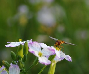 IMG_9069_conew1