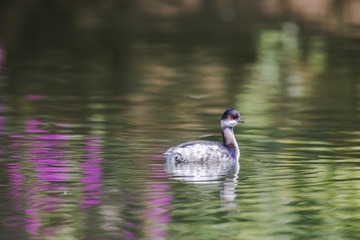 BR9W0112