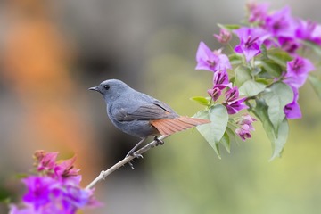 “_R9W9814”为智能对象-1