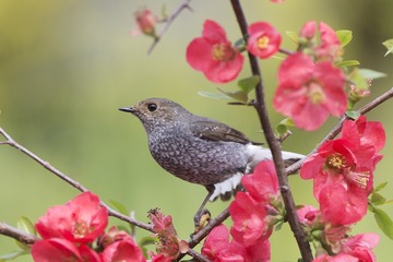 “_R9W9723”为智能对象-1