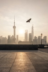 _36A7960