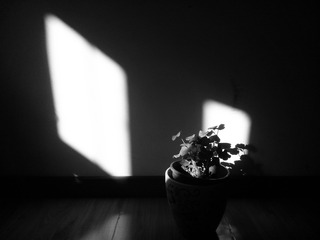 IMG_20160713_190246-01